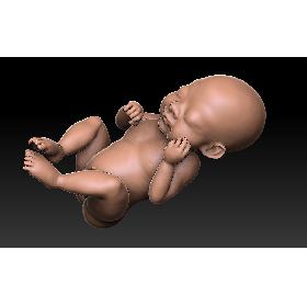 3D Human Baby